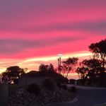 Wayne Cornish - @wayne.cornish.587 - Instagram