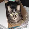 Wayne Cornwell - @wayne.cornwell2 - TikTok