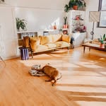 Wayne Cortez - @diyflooringsupply_ - Instagram
