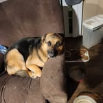 Ricky Wayne Cotten - @cottenrickywayne - Instagram