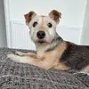 waynecottle3 - @waynecottle3 - TikTok