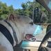 Wayne Couch - Facebook
