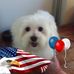 Wayne Coughlin - Facebook