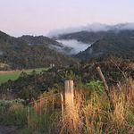 Wayne Cribb - @371okahuroad - Instagram