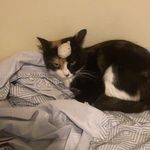 Crowley Mae Wayne - @miss.crowley.wayne - Instagram