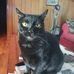 Wayne Crumpler - Facebook