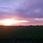 Wayne Culp - @wayneculp31 - Instagram