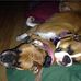 Wayne Culp - Facebook