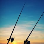 Wayne Cummings - @cummingswayne78 - Instagram