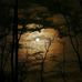 Wayne Cupper - Facebook