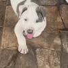 wayne dawkins - @wayne.dawkins - TikTok