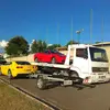Wayne de Alencar - @wayne.de.alencar - TikTok