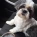Wayne Deal - Facebook