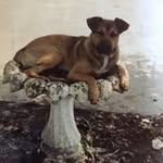 Wayne Deal - @waynedeal - Instagram