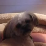 Kyle Wayne Decker - @deckerkylewayne - Instagram
