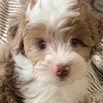 Wayne Dees - @wayne_dees - Instagram