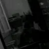 Wayne Deleon587 - @waynedeleon28 - TikTok