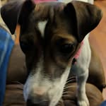 Wayne Dell - @waynedell6 - Instagram