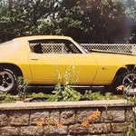 Wayne Denham - @waynedenham8 - Instagram