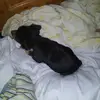 Wayne Dennis - @wayne.dennis36 - TikTok