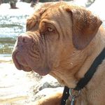 Wayne Dennis - @wayne.dennis.984 - Instagram