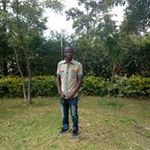 Dennison Wayne - @dennison_wayne - Instagram
