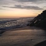 Wayne Dennison - @thewaynedennison - Instagram