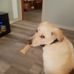 Wayne Denson - Facebook