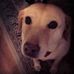 Wayne DeWald - Facebook