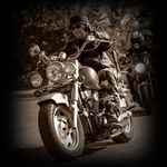 Wayne Dewitt - @waynedewster - Instagram