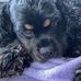 Wayne Dinkle - Facebook