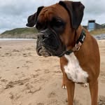 Wayne Dixon - @wayne.dixon - Instagram