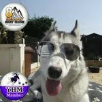 Wayne Dixon - @wayne._._dixon - Instagram
