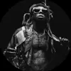 Lil Wayne - @lilwayne - TikTok