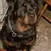 Waynedorethy - @waynedorethy - TikTok