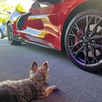 Wayne Dorsey - @waynedorseyjr - Instagram