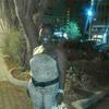 Wayne dortch 12338383839393913 - @joeneathersinglet0 - TikTok