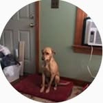 Wayne Dow - @dowwm66i - Instagram