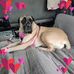 Wayne Downs - Facebook