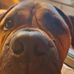 Wayne Downs - Facebook