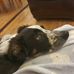 Wayne Doyle - Facebook