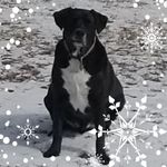 Wayne Drake - @waynedrake70 - Instagram