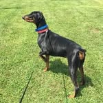 Paul Wayne Drury - @paul.w.drury - Instagram
