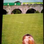 Wayne Dunne - @dunnew - Instagram