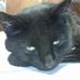 Wayne Dunning - Facebook
