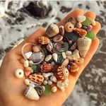 Wayne Du Preez - @wayne.dupreez.796 - Instagram