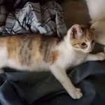 Wayne Durbin - @durb1nn - Instagram
