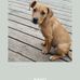 Wayne H Durbin - Facebook