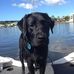Wayne Dutton - Facebook