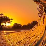 Earle Wayne Green - @earlewaynegreen - Instagram